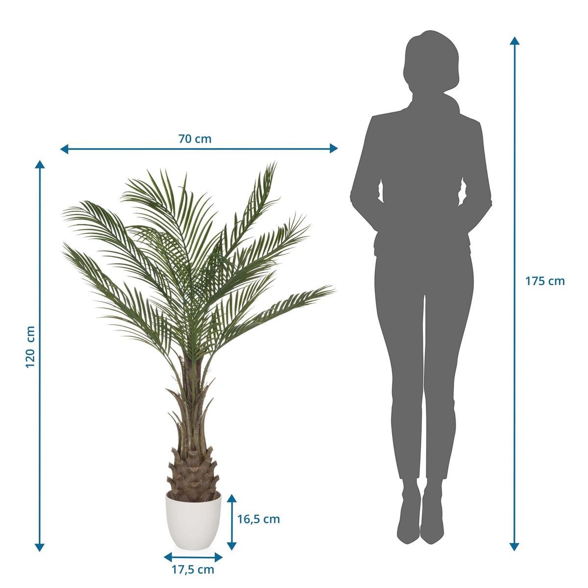 Maattekening van de Kunstplant DRACAENA met een hoogte van 120 cm en een breedte van 70 cm van hjh OFFICE