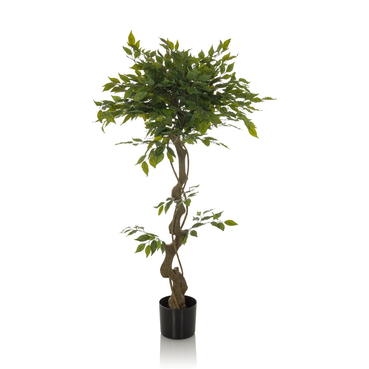 Groene Kunstplant FICUS I met gevlochten stam in een zwarte pot van hjh OFFICE – 360-gradenweergave (vooraanzicht 0°)