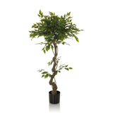 Groene Kunstplant FICUS I met gevlochten stam in een zwarte pot van hjh OFFICE – 360-gradenweergave (vooraanzicht 0°)