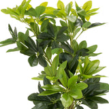 Groene bladeren van de kunstplant SCHEFFLERA van hjh OFFICE