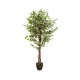 Groene Kunstplant FICUS met gevlochten stam in een zwarte pot van hjh OFFICE – 360-gradenweergave (vooraanzicht 0°)