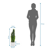 Maataanzicht van de Kunstplant SANSEVIERIA met een hoogte van 65 cm naast een silhouet van een persoon van hjh OFFICE