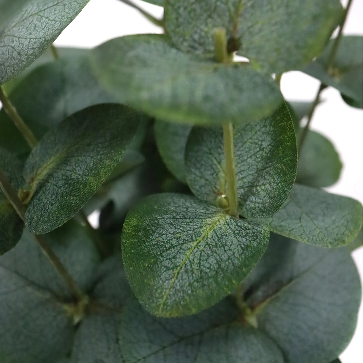 Groene bladeren van de kunstplant Eucalyptus van hjh OFFICE