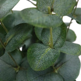 Groene bladeren van de kunstplant Eucalyptus van hjh OFFICE