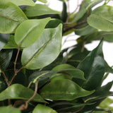Groene bladeren van de kunstplant FICUS II van hjh OFFICE