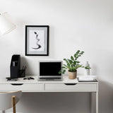 Groene Kunstplant ZAMIE in een gevlochten pot op een wit bureau van hjh OFFICE