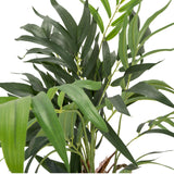 Groene bladeren van de kunstplant CHAMAEDOREA van hjh OFFICE