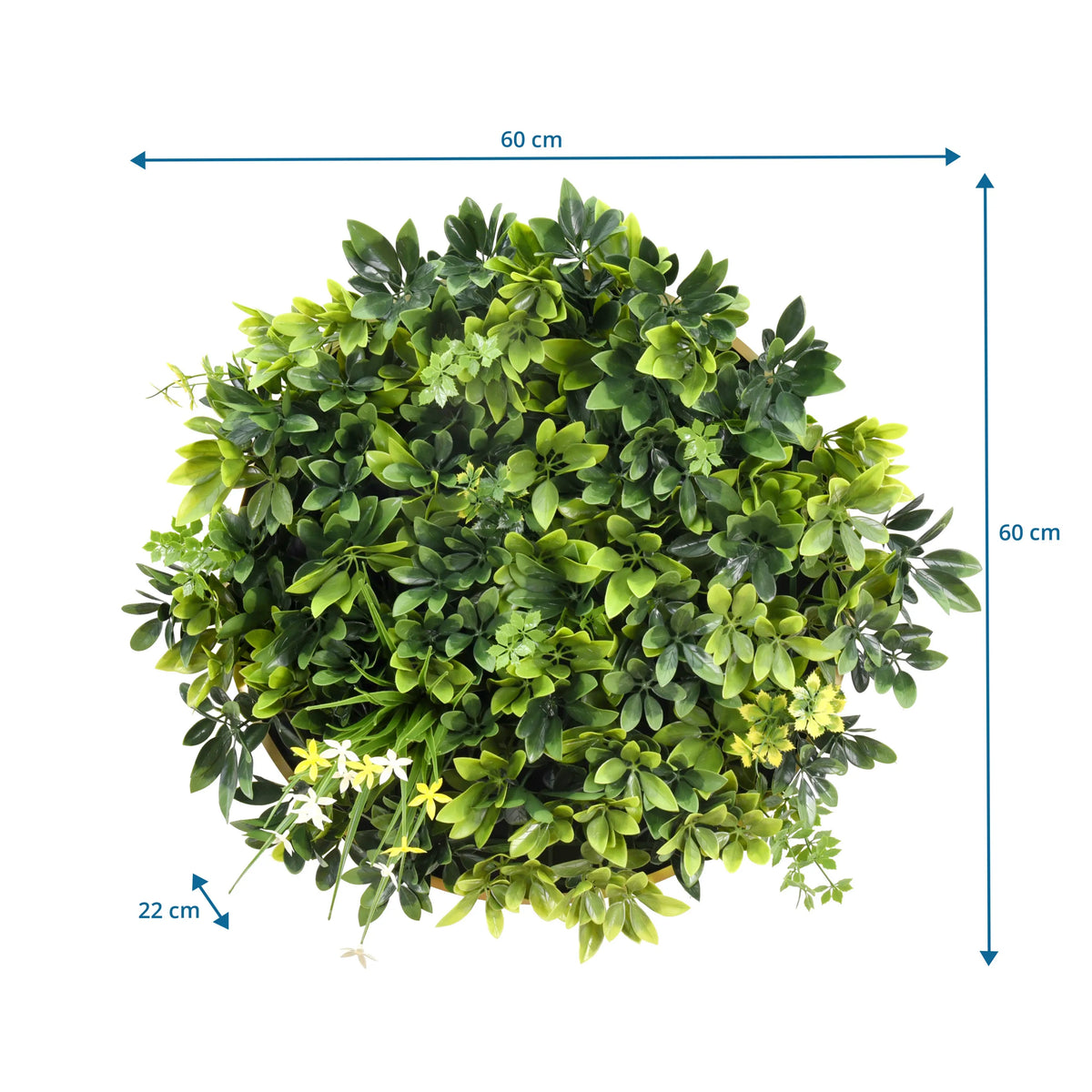 Maattekening van de Plantmat LEAFLUXE WALL 2 met 60 × 60 cm en een diepte van 22 cm van hjh LIVING