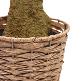 Gevlochten mand met plantenstam van de kunstplant OLIVE II van hjh OFFICE
