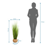 Maattekening van de Kunstplant CORTADERIA met een hoogte van 112 cm en breedte van 30 cm van hjh OFFICE