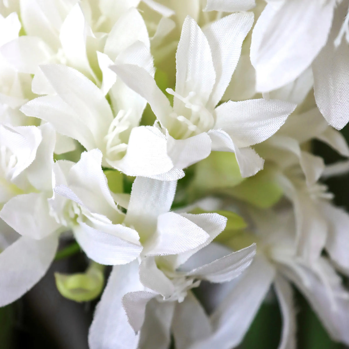 Witte bloesems van de kunstplant AGAPANTHUS van hjh OFFICE