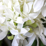 Witte bloesems van de kunstplant AGAPANTHUS van hjh OFFICE