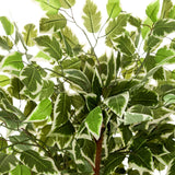Groen-wit bontgebladerde bladeren van de Kunstplant FICUS van hjh OFFICE