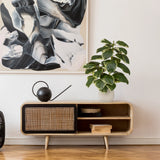 Kunstplant Ficus 3 in groen-wit met een witte pot op een dressoir van hjh OFFICE