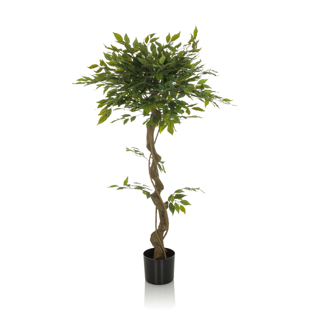 Groene Kunstplant FICUS I met gevlochten stam in een zwarte pot van hjh OFFICE – 360-gradenweergave (zijaanzicht 90°)