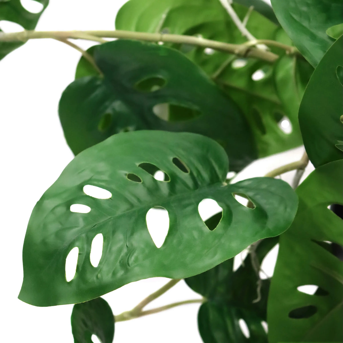Groene bladeren van de Kunstplant MONSTERA CLIMB met karakteristieke gaten van hjh OFFICE