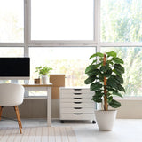 Kunstplant EPIPREMNUM in het groen met een witte pot in een lichte kamer van hjh OFFICE