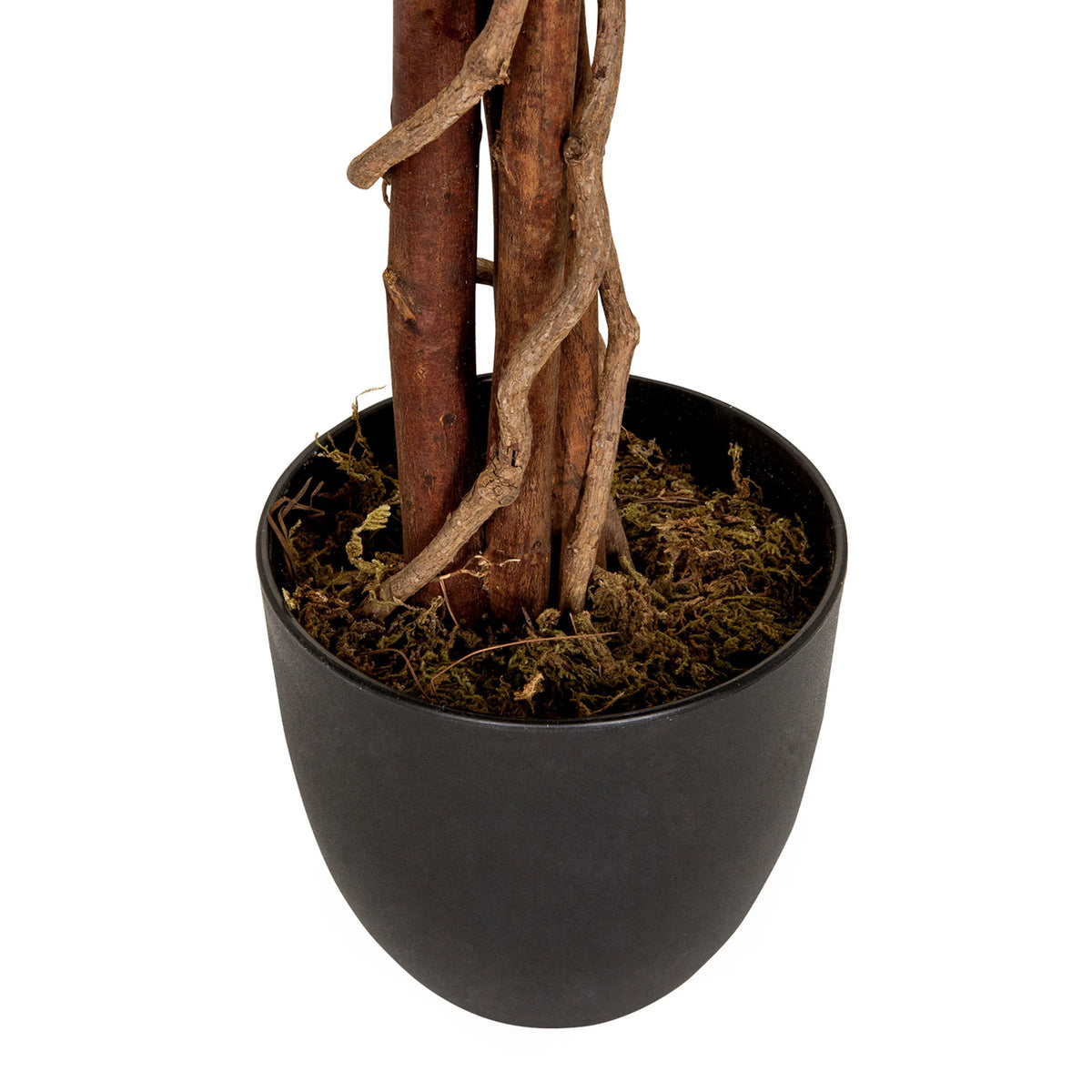 Stam en zwarte plantenpot met moslaag van de kunstplant MANGO van hjh OFFICE