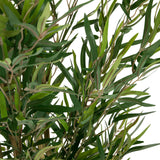 Groene bladeren van de Kunstplant BAMBUS van hjh OFFICE