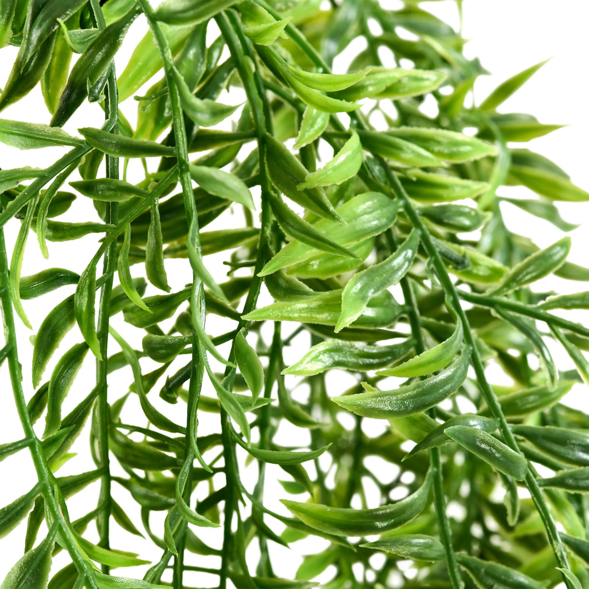 Groene bladeren van de kunstplant Filix van hjh OFFICE