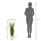 Maataanzicht van de Kunstplant CORTADERIA I met een totale hoogte van 78 cm van hjh OFFICE