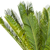 Groene bladeren van de Kunstplant CYCAS van hjh OFFICE