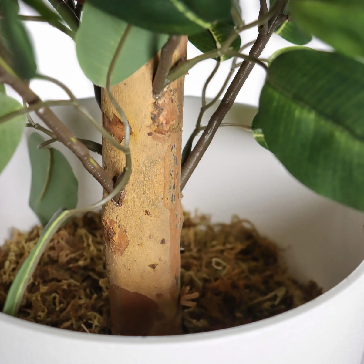 Stam en bladeren van de kunstplant FICUS II in een witte pot van hjh OFFICE