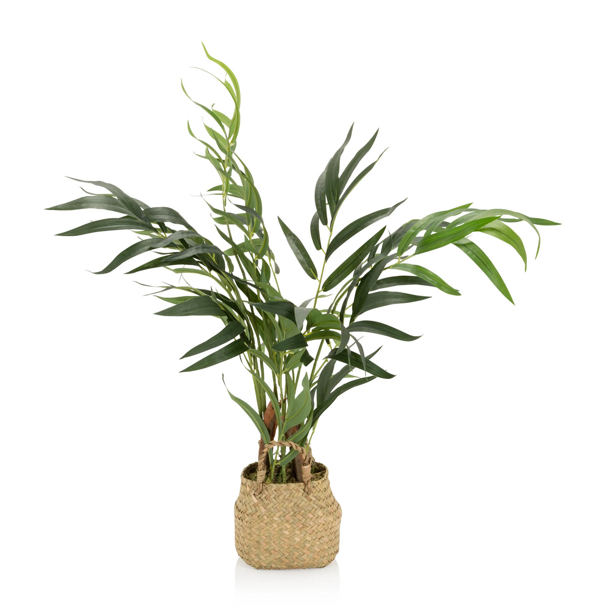 Groene Kunstplant CHAMAEDOREA in een gevlochten pot van natuurmateriaal van hjh OFFICE – 360-gradenweergave (zijaanzicht 90°)