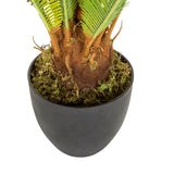 Stam en zwarte buitenpot van de Kunstplant CYCAS van hjh OFFICE