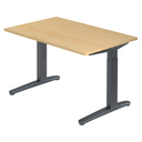 XTRA XB 12 GG | 120x80 | Bureau hoogte verstelbaar 