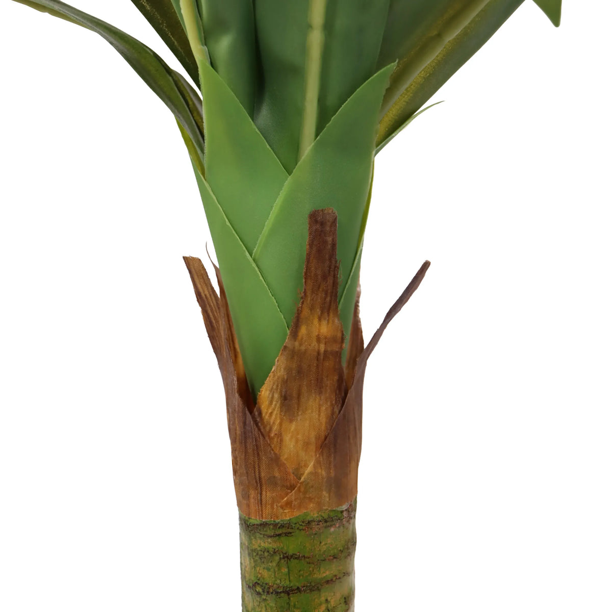 Stamvoet en groene bladeren van de Kunstplant DRACAENA I van hjh OFFICE