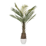 Groene Kunstplant DRACAENA in de vorm van een palm met een witte pot van hjh OFFICE – 360-gradenweergave (zijaanzicht 90°)