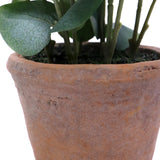 Terracotta pot van de Eucalyptus kunstplant met groene bladeren van hjh OFFICE
