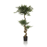 Groene Kunstplant ACACIA met gedraaide stam in een zwarte pot van hjh OFFICE – 360-gradenweergave (vooraanzicht 0°)