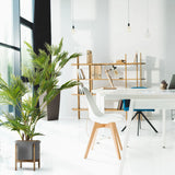 Groene kunstplant ARECA I in een grijze pot op een houten standaard van hjh OFFICE