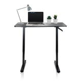 Zwart Zit- Sta bureau STAND CR met laptop, bureaulamp en twee kleine planten van hjh OFFICE