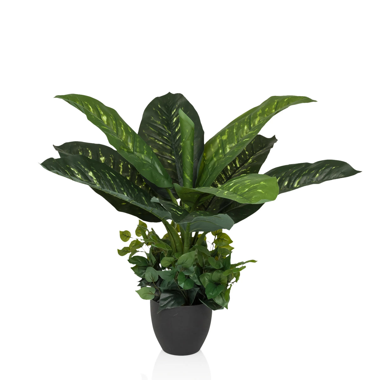 DIEFFENBACHIA - Kunstplant 