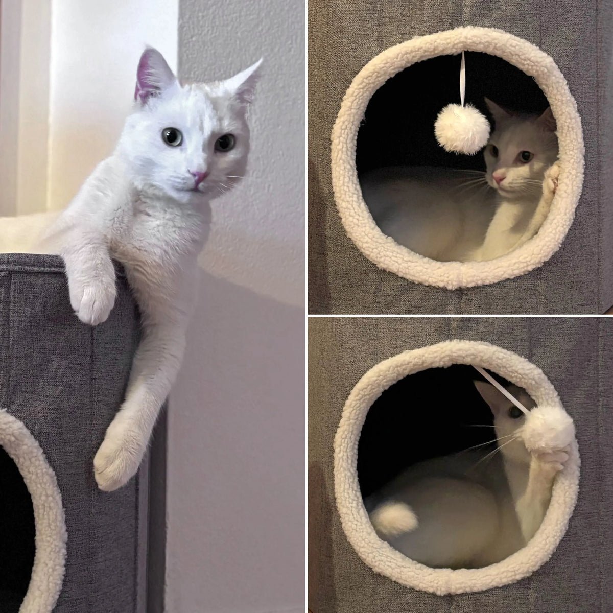 Grijze Kattengrot PAWY R met zachte, witte binnenvoering en speelbal van hjh LIVING