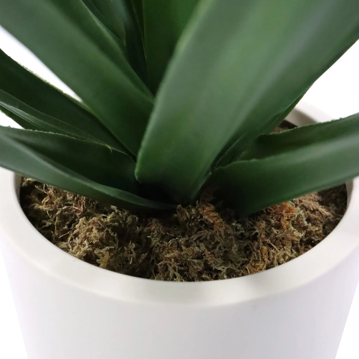 Groene bladeren en mosbedekking van de Kunstplant Agave in een witte pot van hjh OFFICE