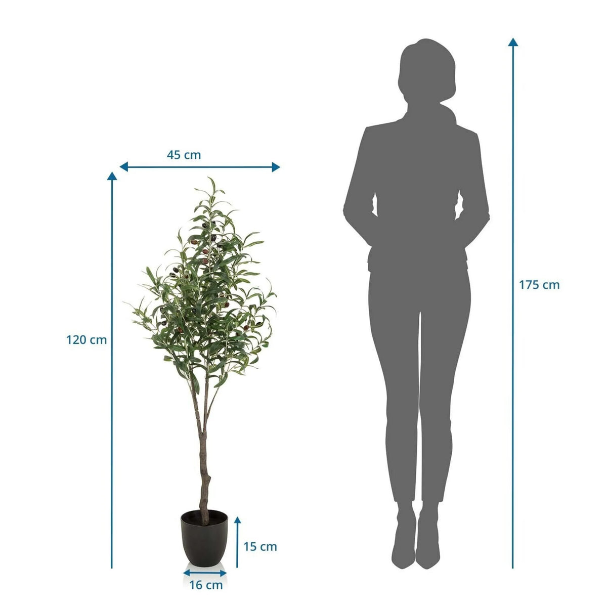 Maattekening van de Kunstplant OLIVE met een hoogte van 120 cm van hjh OFFICE
