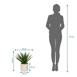 Maattekening van de Kunstplant Agave met 45 cm hoogte en 40 cm breedte van hjh OFFICE