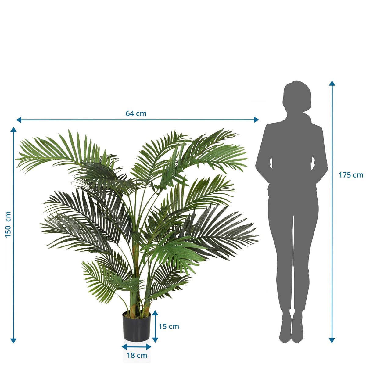 Maattekening van de Kunstplant ARECA II met een hoogte van 150 cm en breedte van 64 cm van hjh OFFICE
