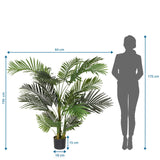 Maattekening van de Kunstplant ARECA II met een hoogte van 150 cm en breedte van 64 cm van hjh OFFICE