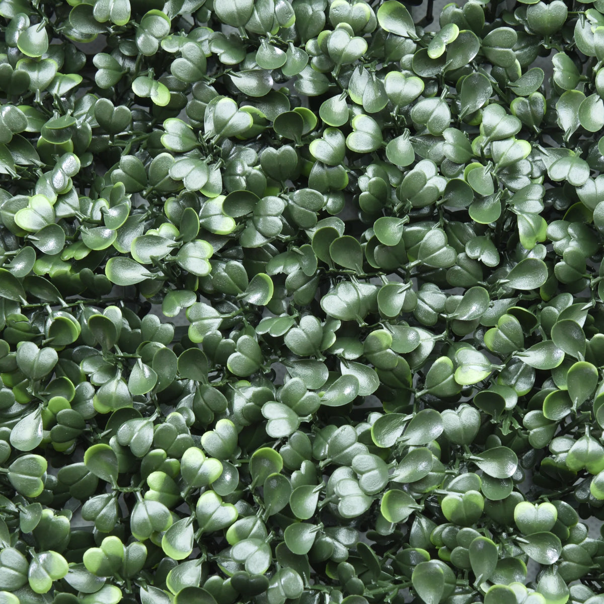Groene bladeren van de Plantmat LEAFLUXE 1 van hjh LIVING