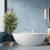 Kunstplant FICUS in het groen met gevlochten mandpot voor een blauwe muur van hjh OFFICE