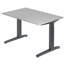 XTRA XB 12 GG | 120x80 | Bureau hoogte verstelbaar 