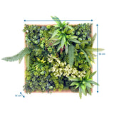 Maattekening van de Plantmat LEAFLUXE WALL 1 met 50 × 50 cm en 16 cm diepte van hjh LIVING