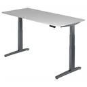 XBHM 19 GG | 180x80 | Bureau elektrisch in hoogte verstelbaar. 