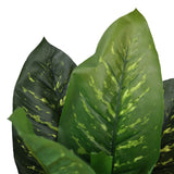 Groene bladeren van de DIEFFENBACHIA kunstplant met lichtere nerven van hjh OFFICE