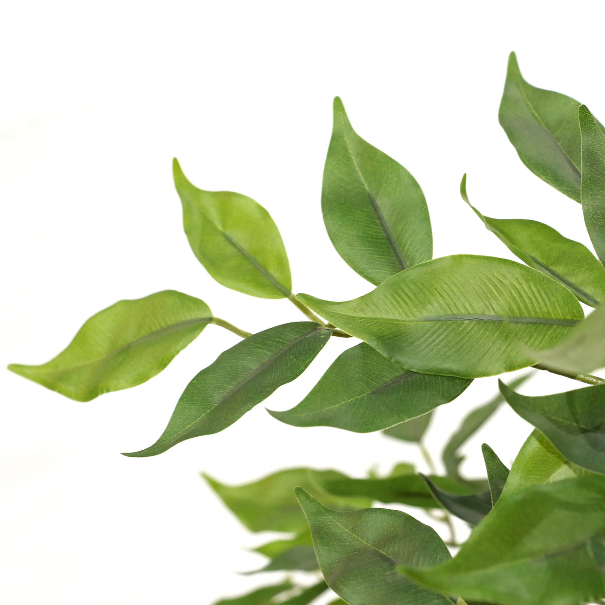 Groene bladeren van de Kunstplant FICUS I van hjh OFFICE
